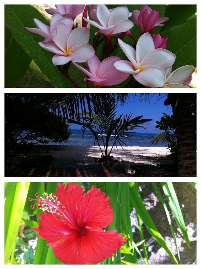 Villas Du Voyageur Grand' Anse Buitenkant foto