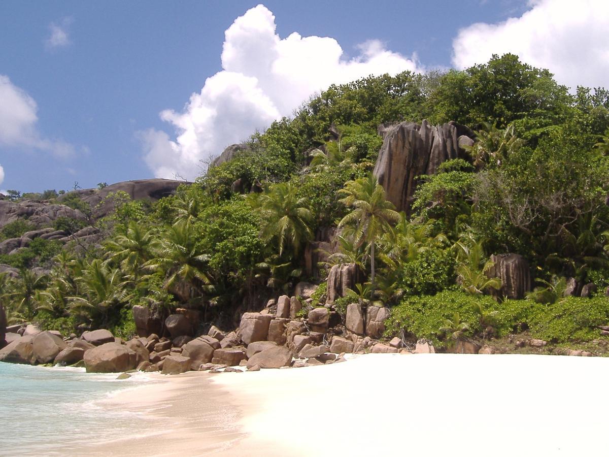 Villas Du Voyageur Grand' Anse Buitenkant foto