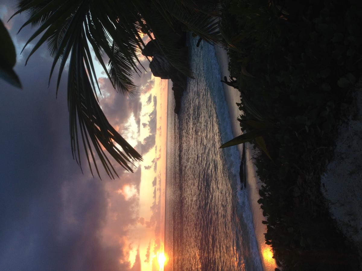 Villas Du Voyageur Grand' Anse Buitenkant foto