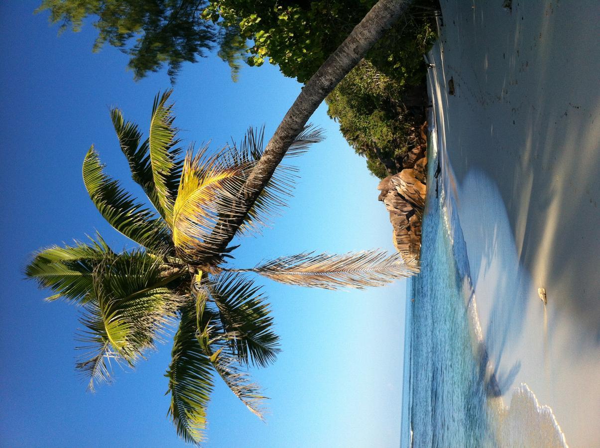 Villas Du Voyageur Grand' Anse Buitenkant foto
