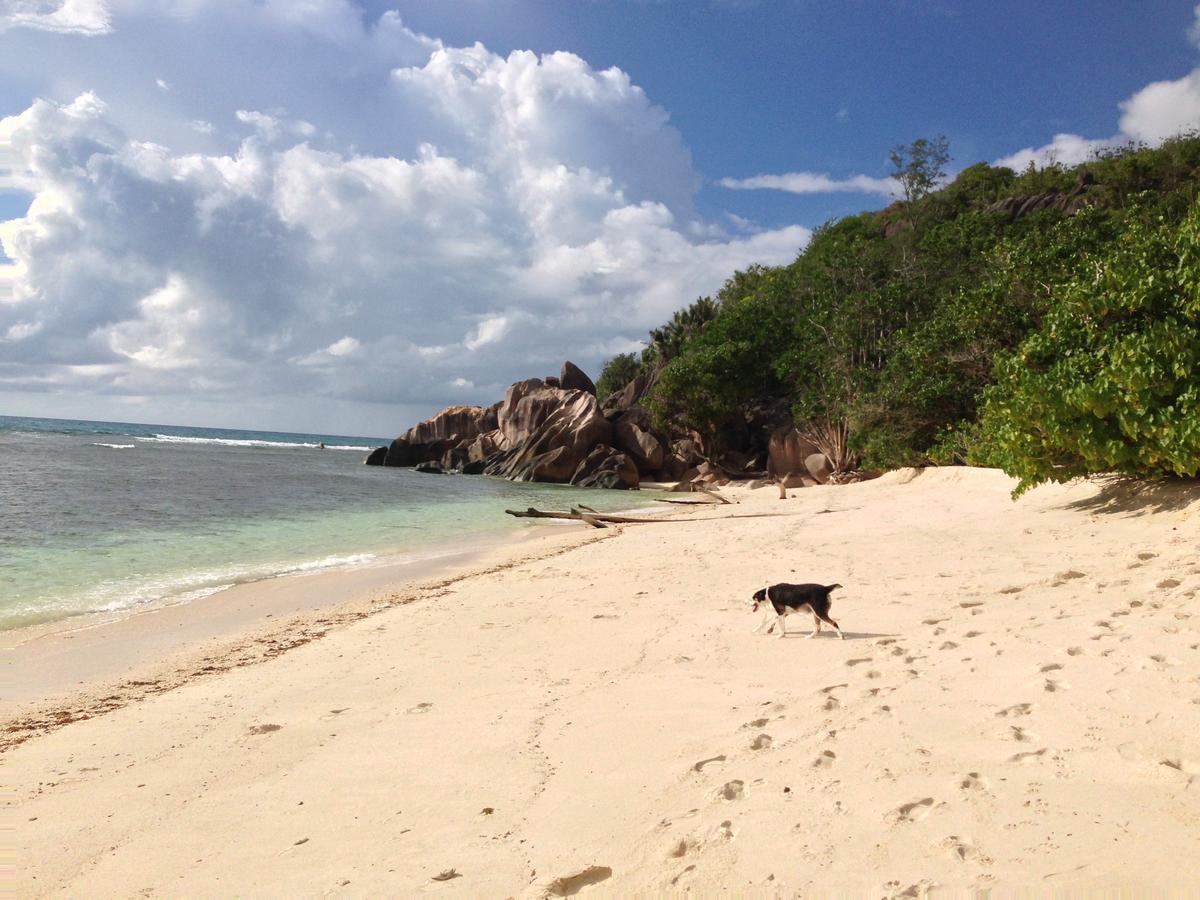Villas Du Voyageur Grand' Anse Buitenkant foto