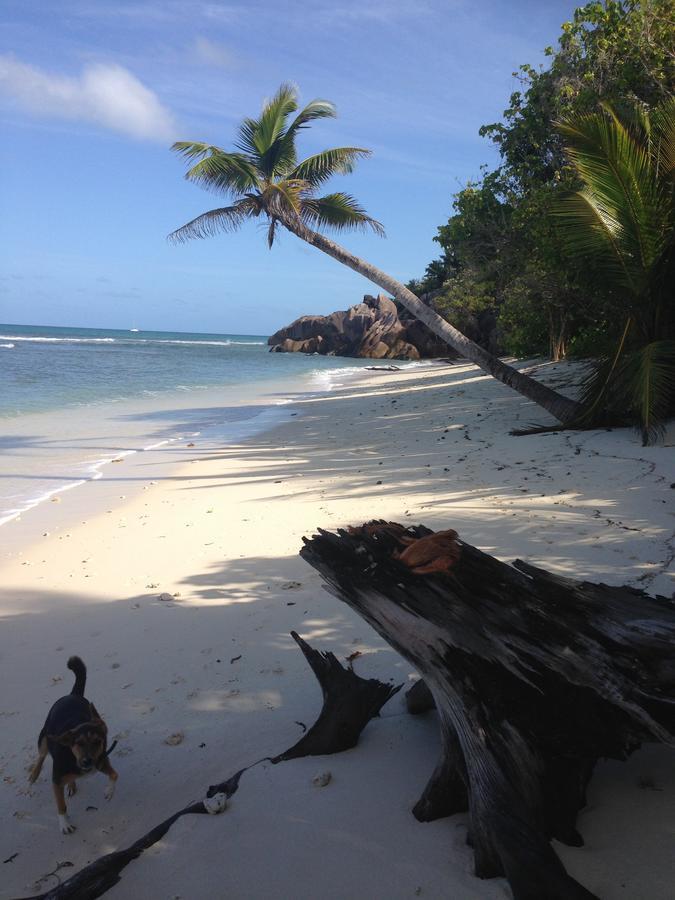 Villas Du Voyageur Grand' Anse Buitenkant foto